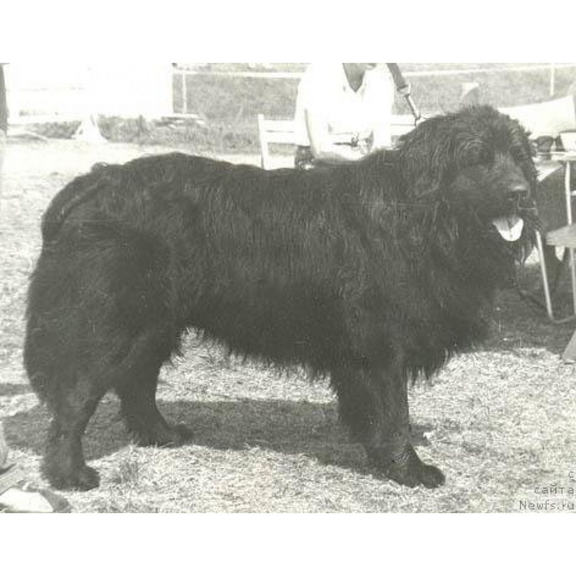 R Ja Emir Jel (08-06-1978)